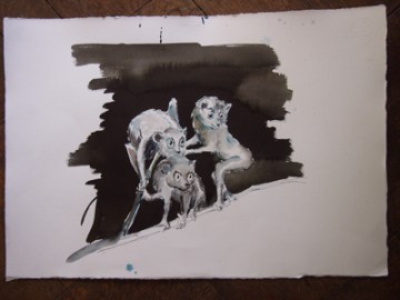 OLYMPUS DIGITAL CAMERA